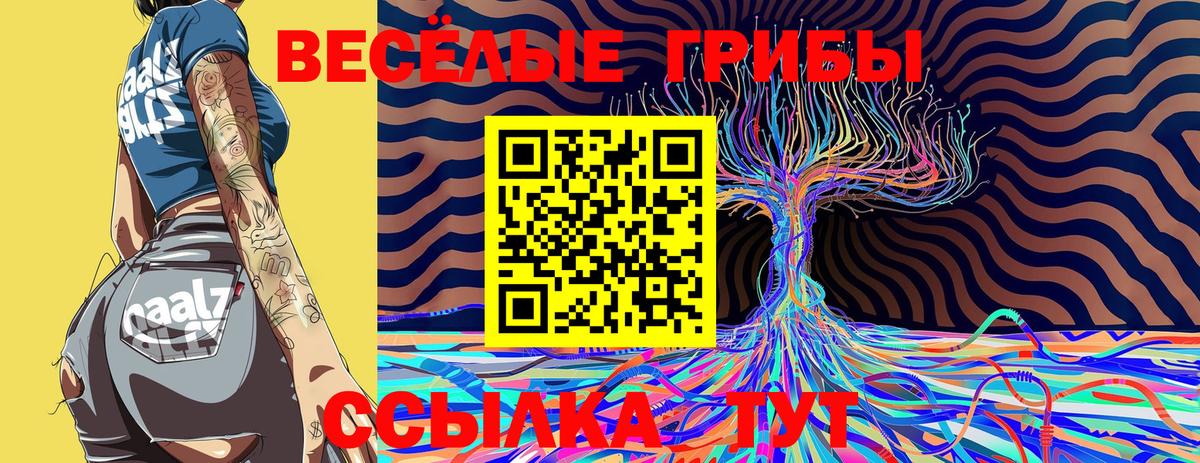 Галлюциногенные грибы Psilocybe Обнинск