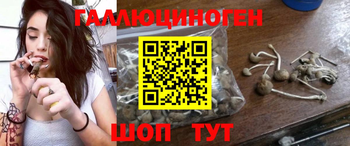 Псилоцибиновые грибы Psilocybine cubensis  Вход с VPN  Обнинск  Галлюциногенные грибы ЛСД 